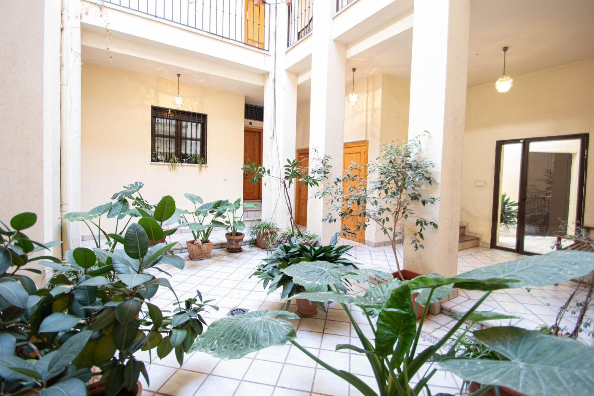 Elvira 54 Apartment Granada Exterior photo